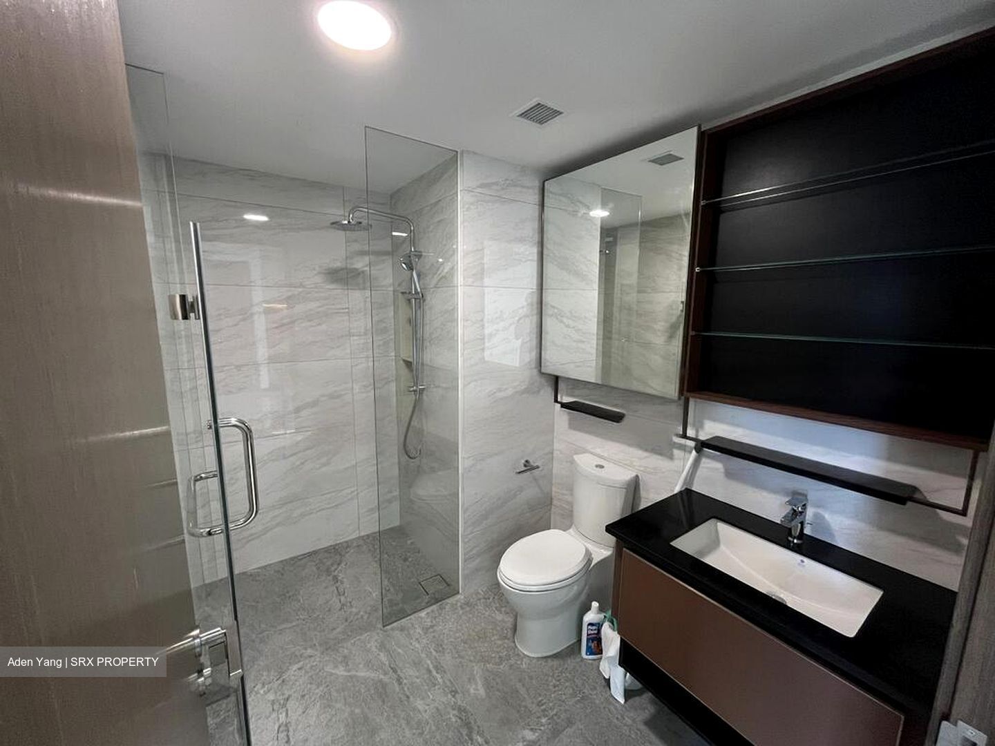 Normanton Park (D5), Apartment #460598211